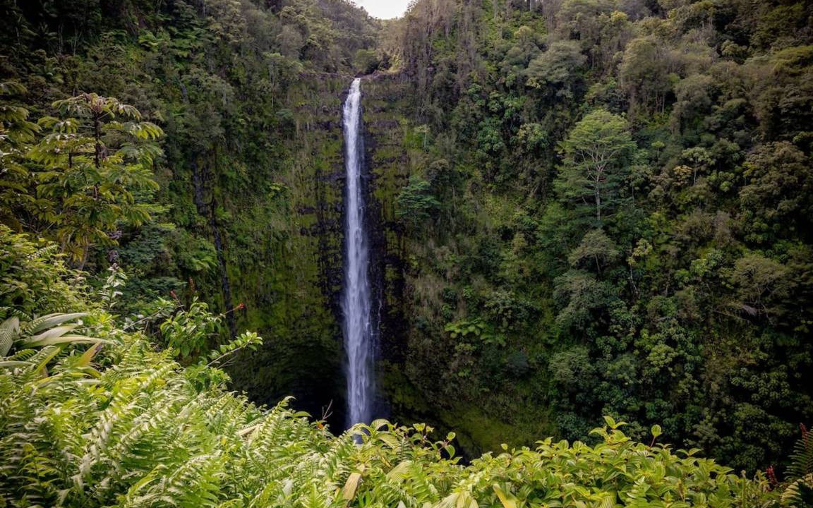 Photo of Others in Kahaluu Bay
