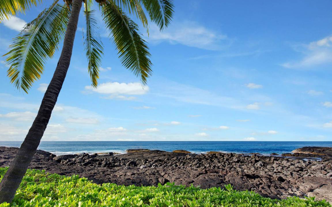 Photo of Others in Kailua-Kona