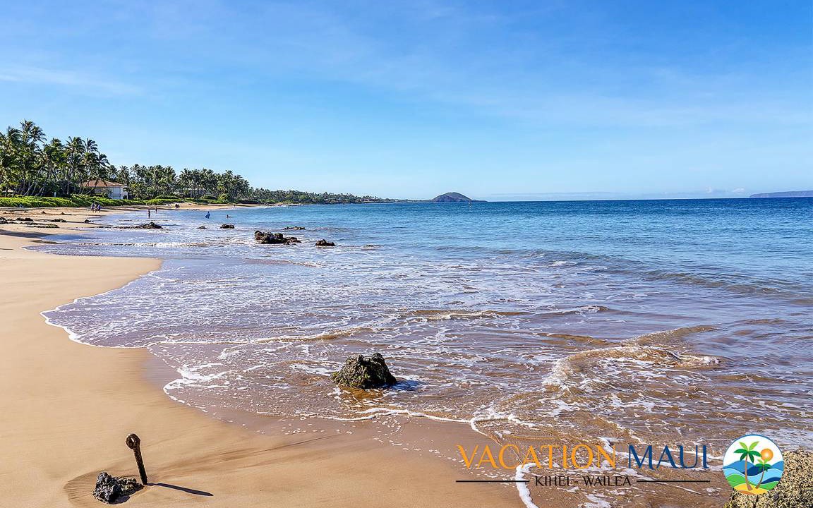 Photo of Others in Wailea