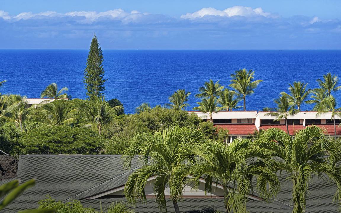 Photo of Others in Kahaluu Bay