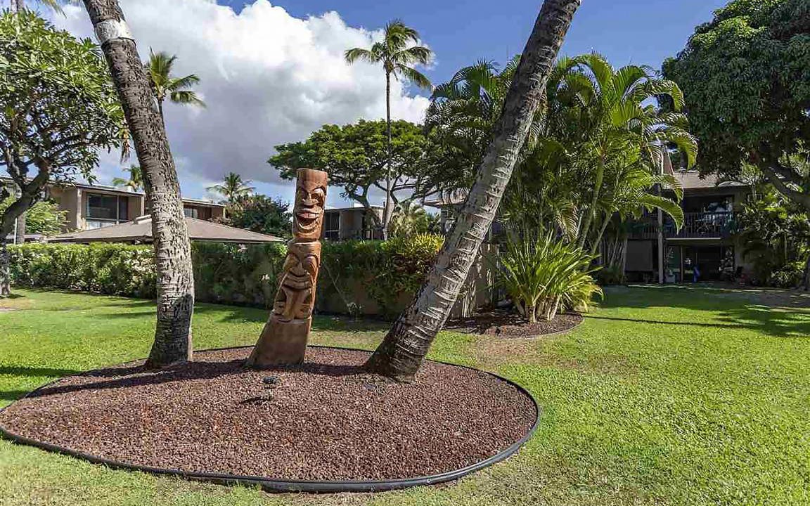 Photo of Others in Kihei