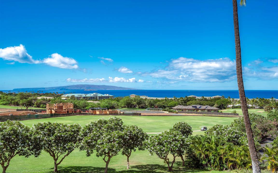 Photo of Others in Wailea