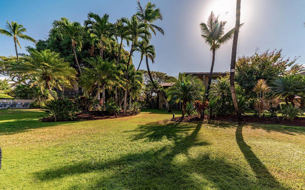 Photo of Others in Kihei