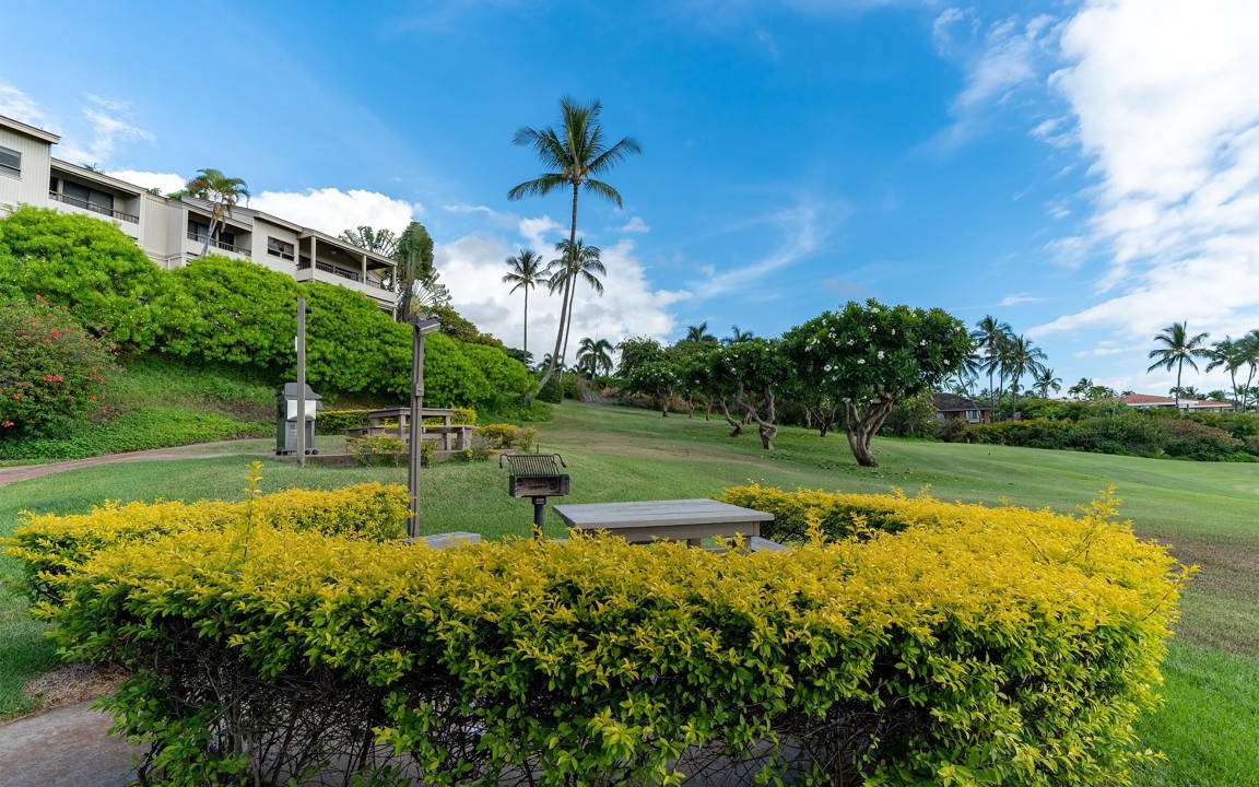 Photo of Others in Wailea