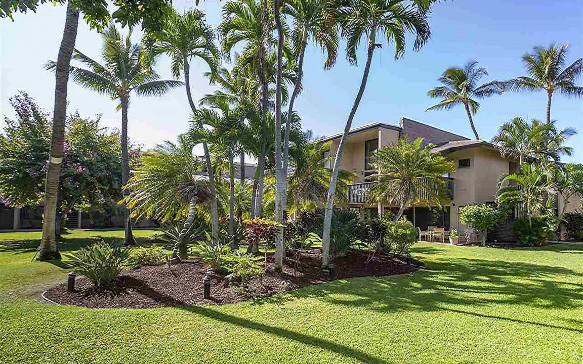 Photo of Others in Kihei