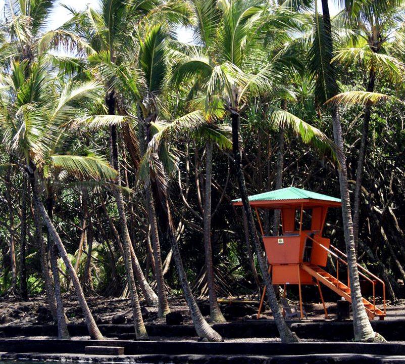 Photo of Others in Kapoho
