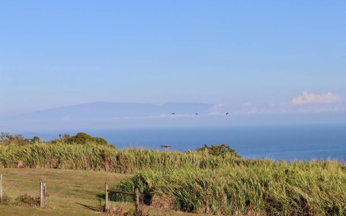 Photo of Others in Kukuihaele
