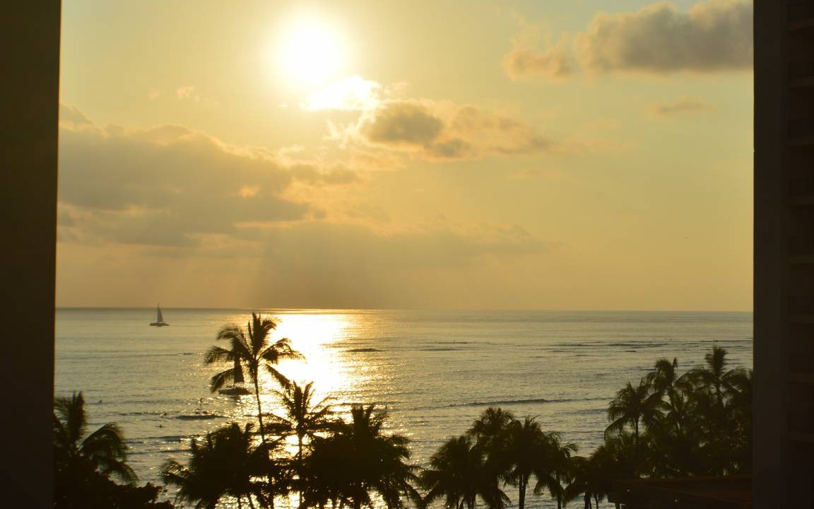 Photo of Others in Waikiki