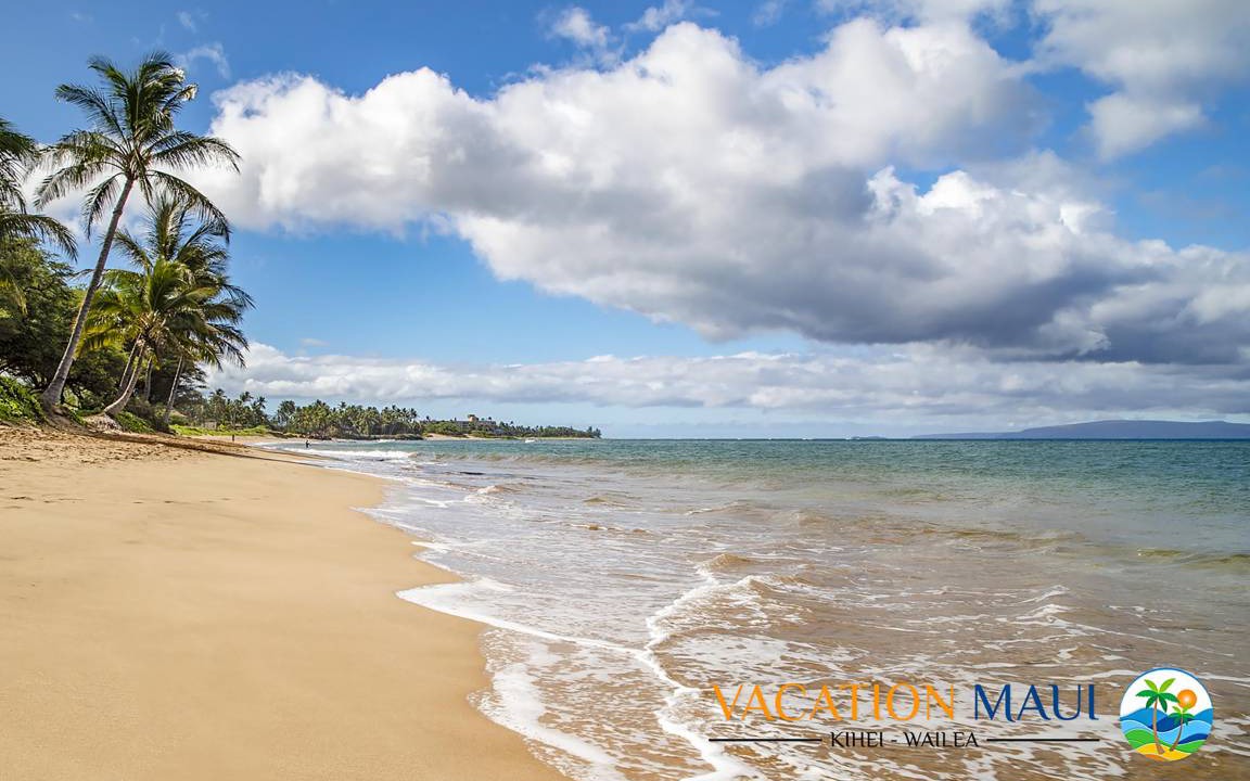 Photo of Others in Kihei