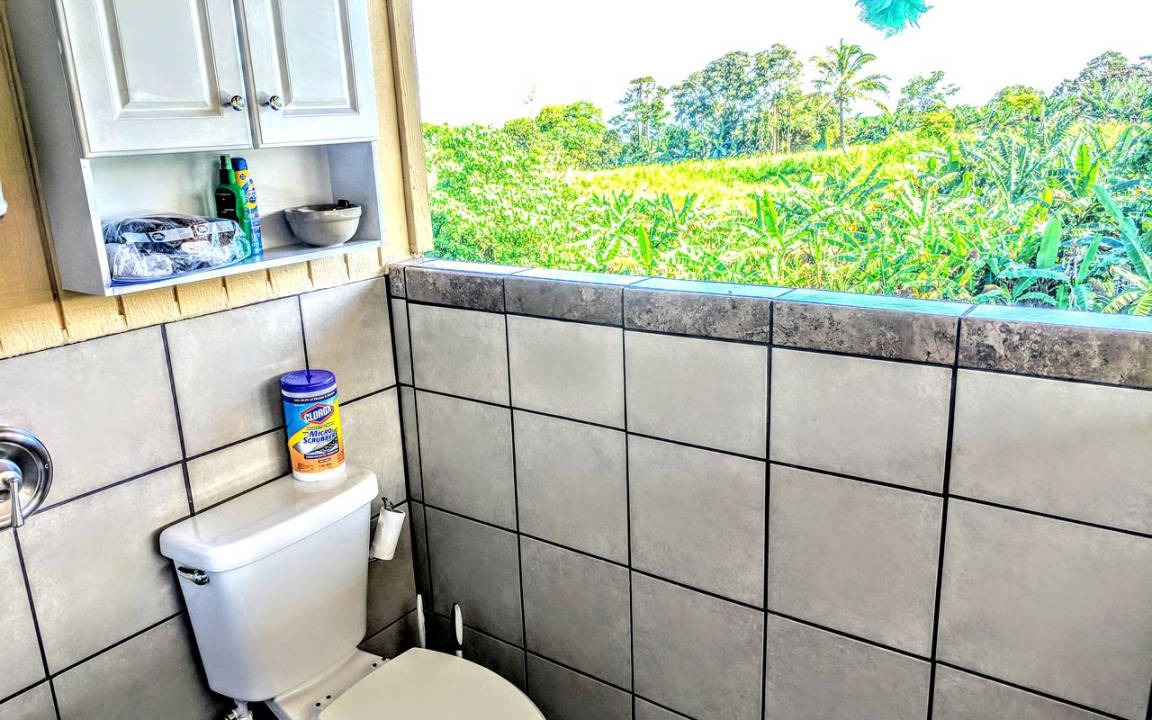 Photo of Bathroom in Pepeekeo