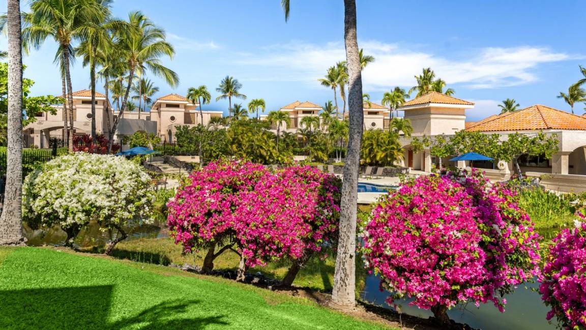 Photo of Others in Waikoloa