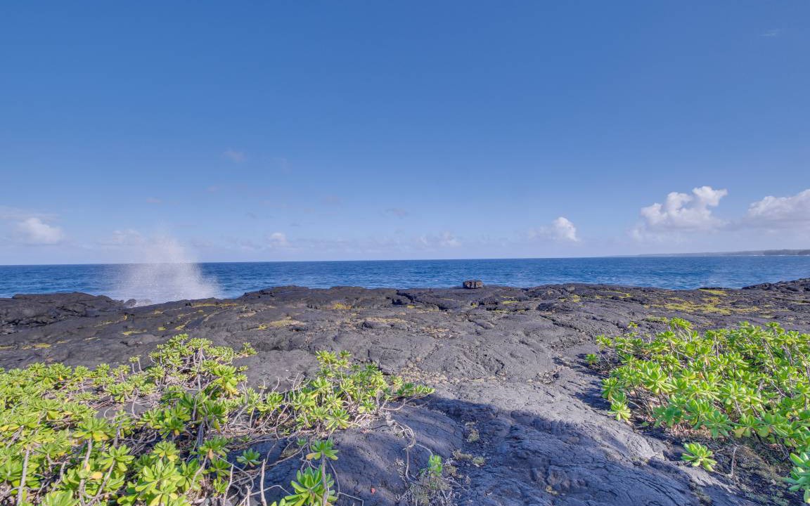 Photo of Outdoor in Keaau