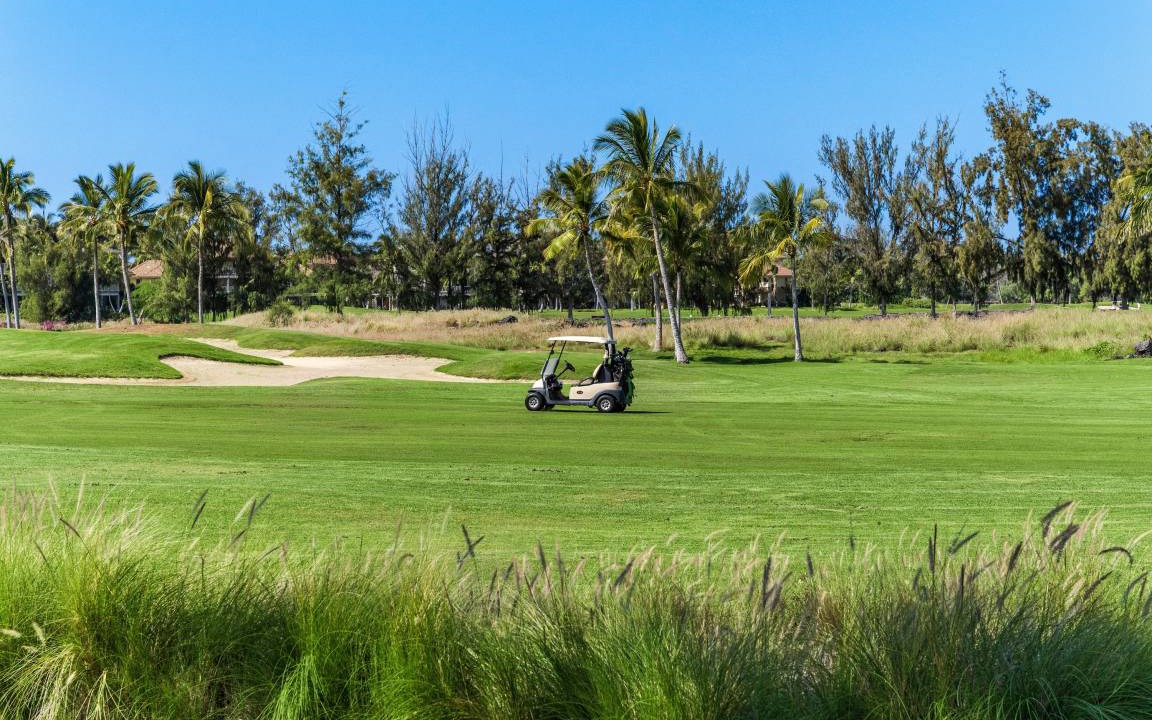 Photo of Others in Waikoloa
