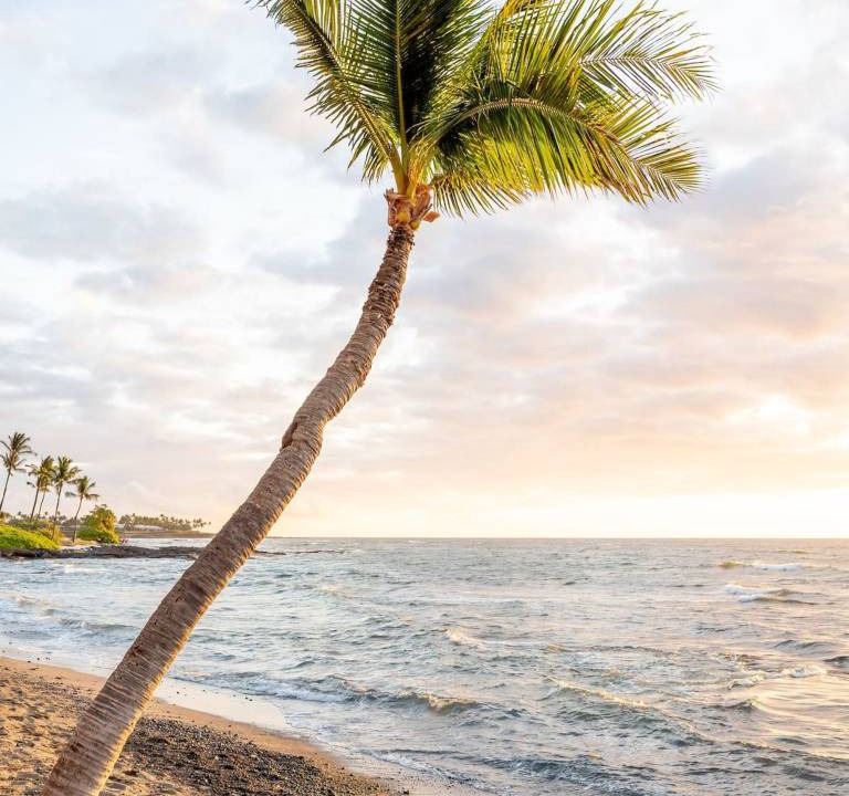 Photo of Others in Kahaluu Bay
