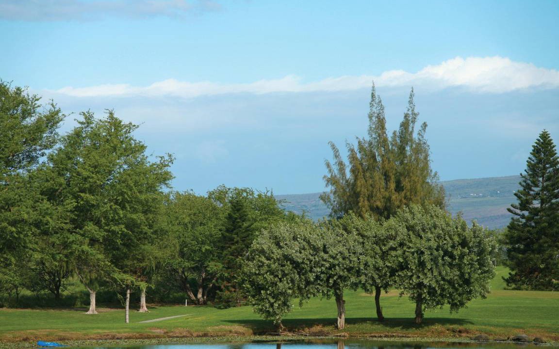 Photo of Others in Waikoloa