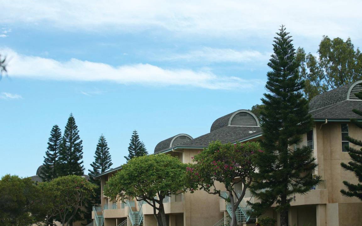 Photo of Others in Waikoloa