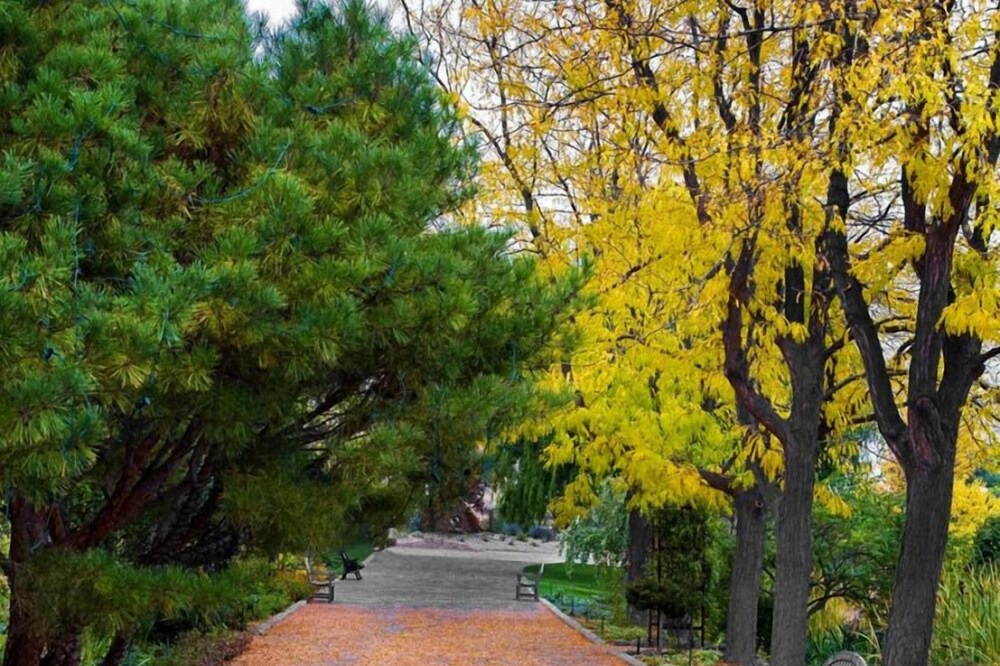 Photo of Outdoor in Southeast Boise
