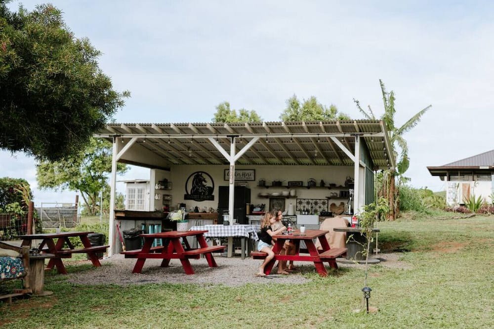 Photo of Others in Hawi