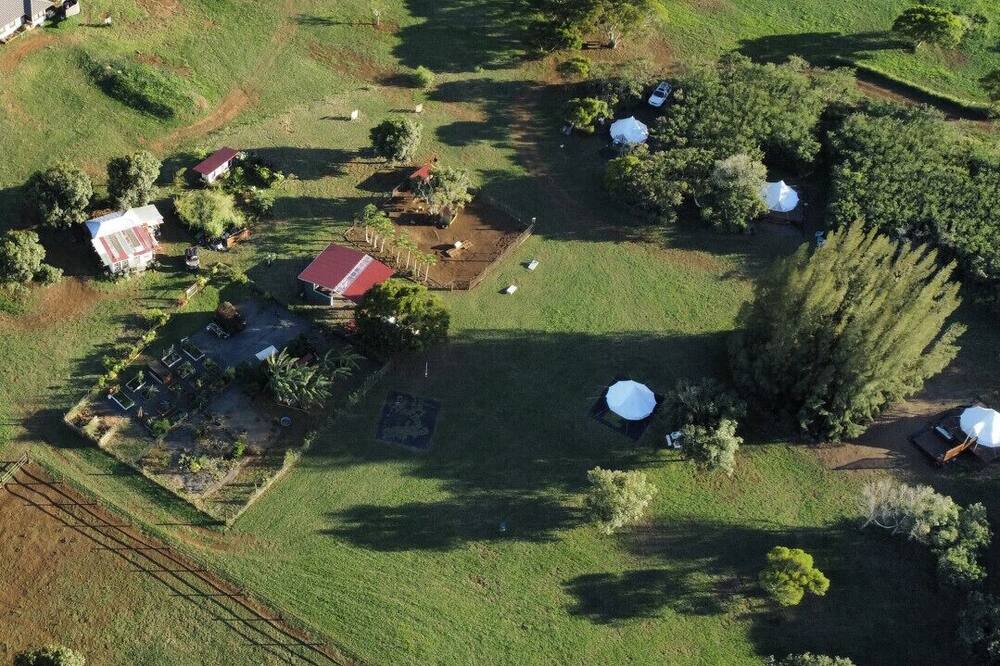 Photo of Others in Hawi