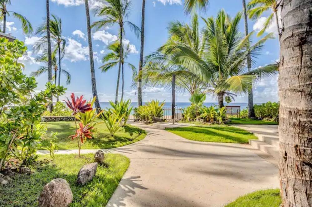 Photo of Outdoor in Pupukea