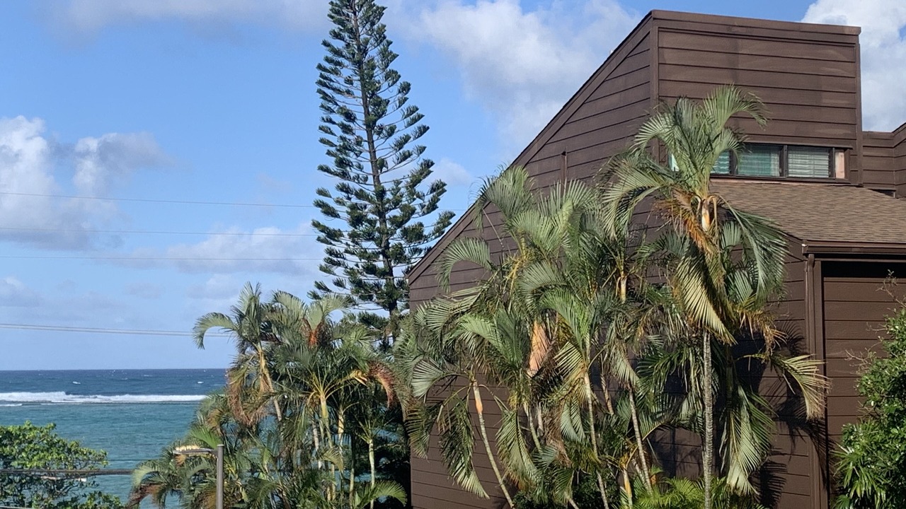 Photo of Outdoor in Ka'a'awa