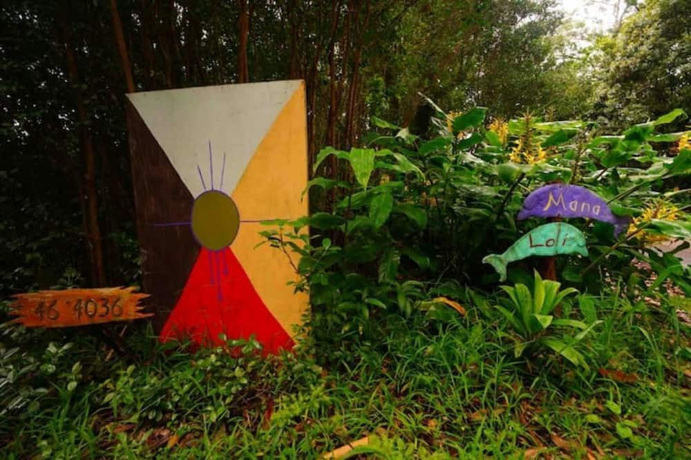 Photo of Outdoor in Honokaa