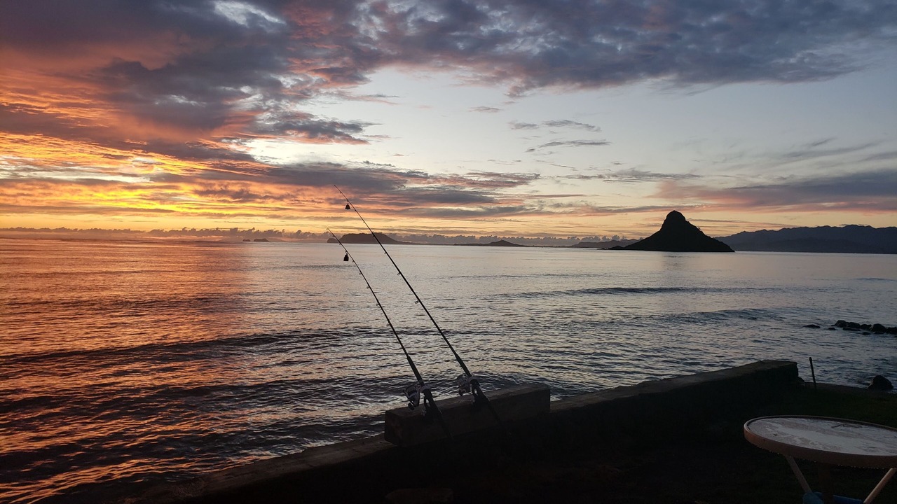 Photo of Others in Kaneohe