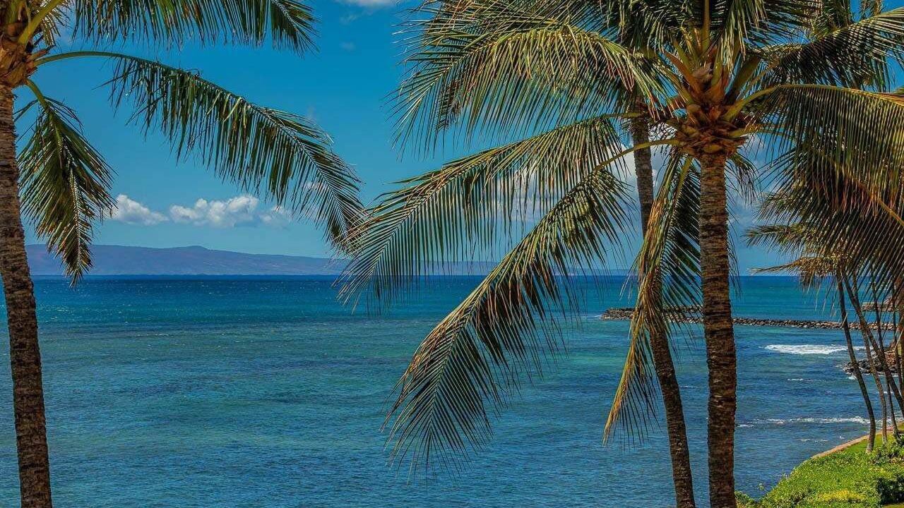 Photo of Others in Maalaea
