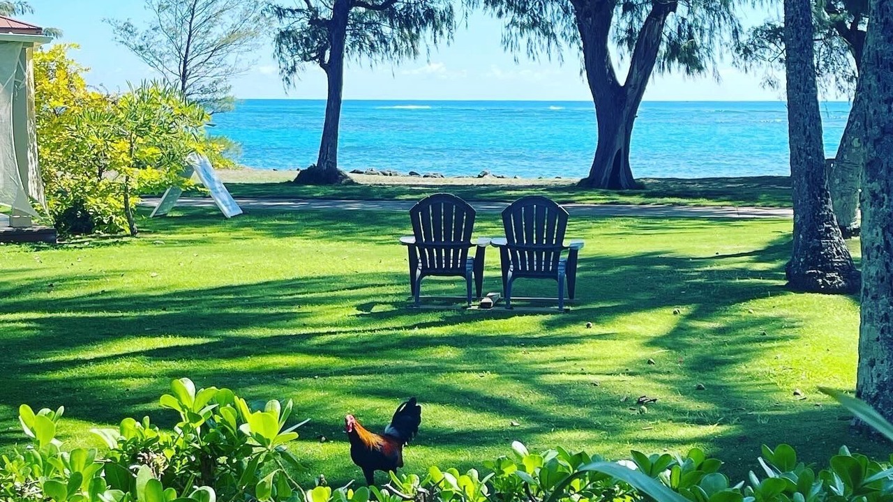 Photo of Outdoor in Kapaa