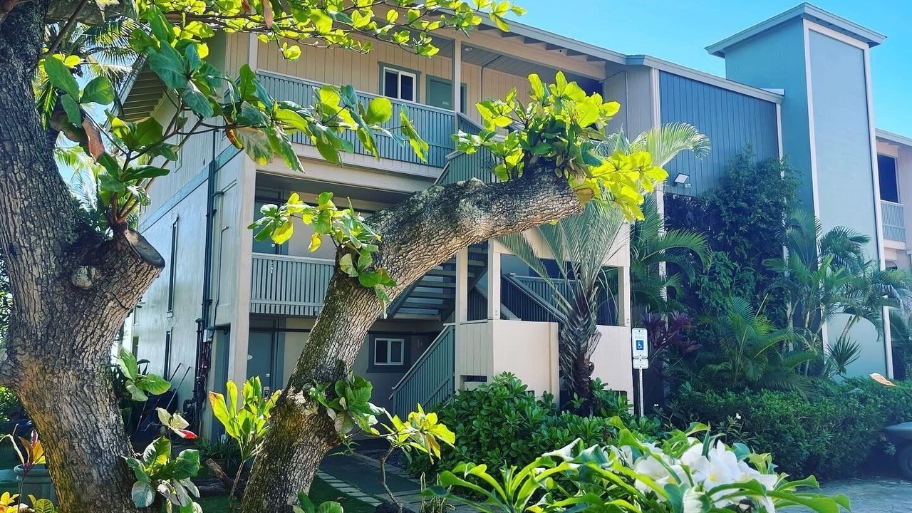 Photo of Outdoor in Kapaa