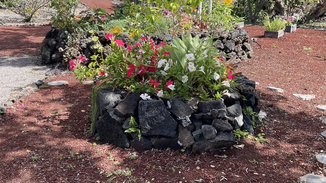 Photo of Outdoor in Ocean View
