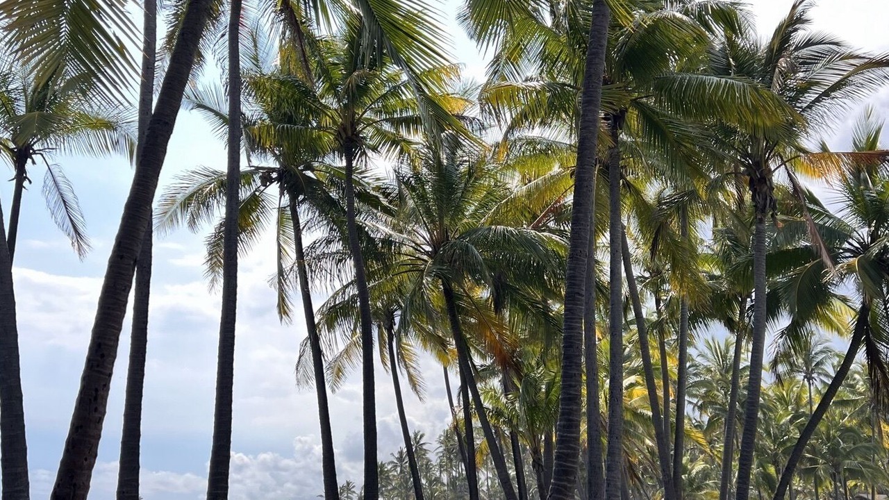 Photo of Others in Ocean View