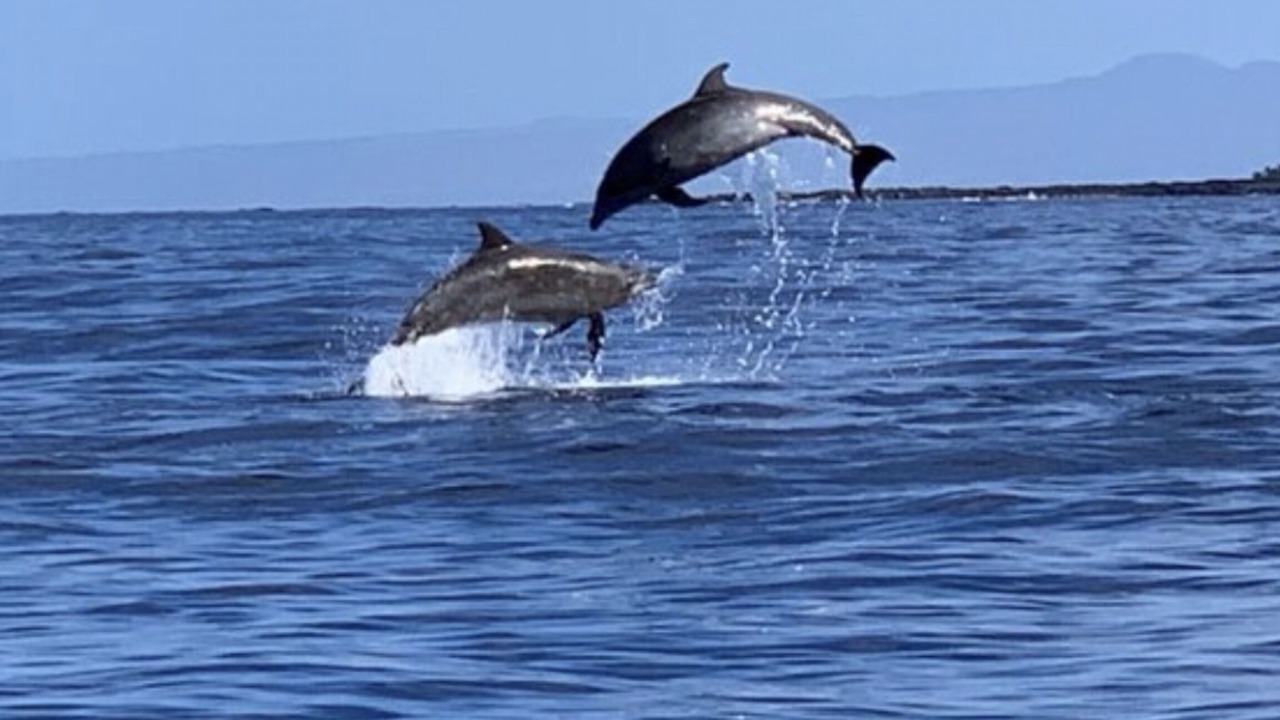 Photo of Others in Ocean View