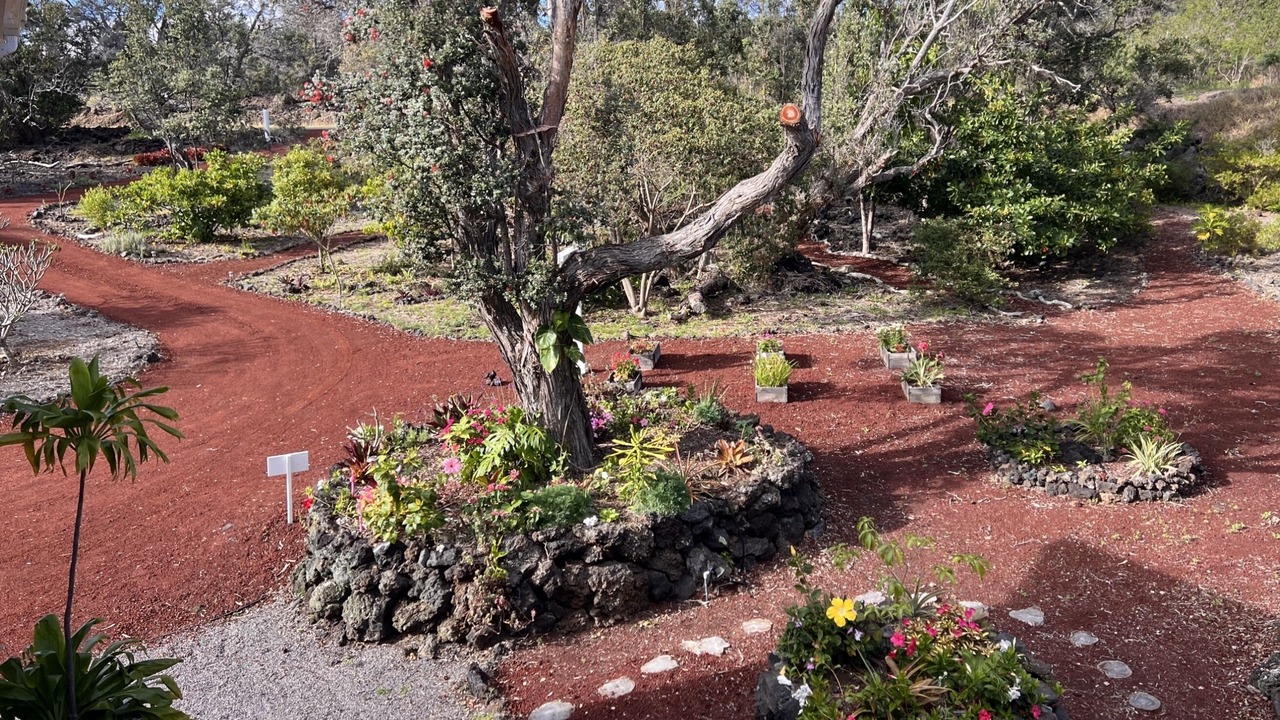Photo of Outdoor in Ocean View