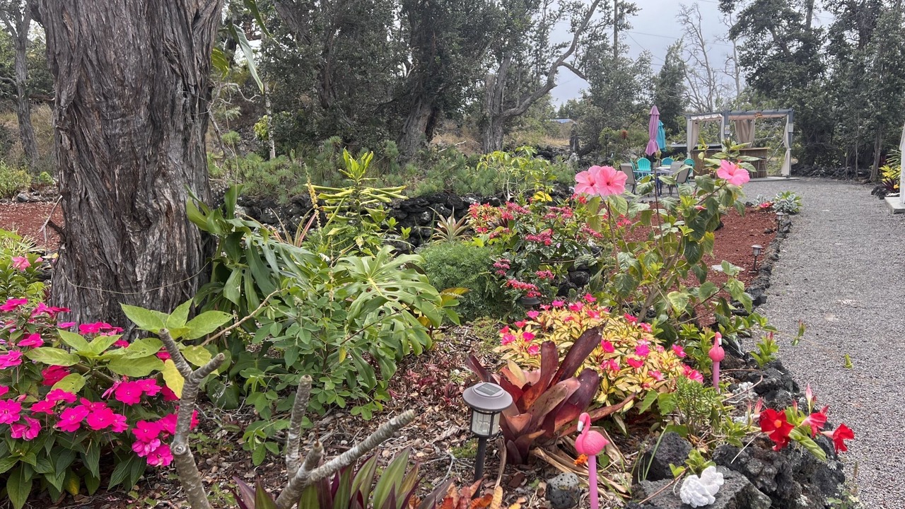 Photo of Outdoor in Ocean View