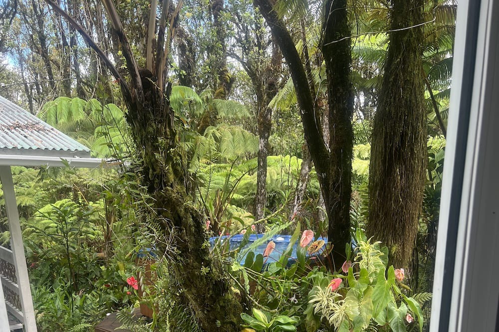 Photo of Outdoor in Eden Roc