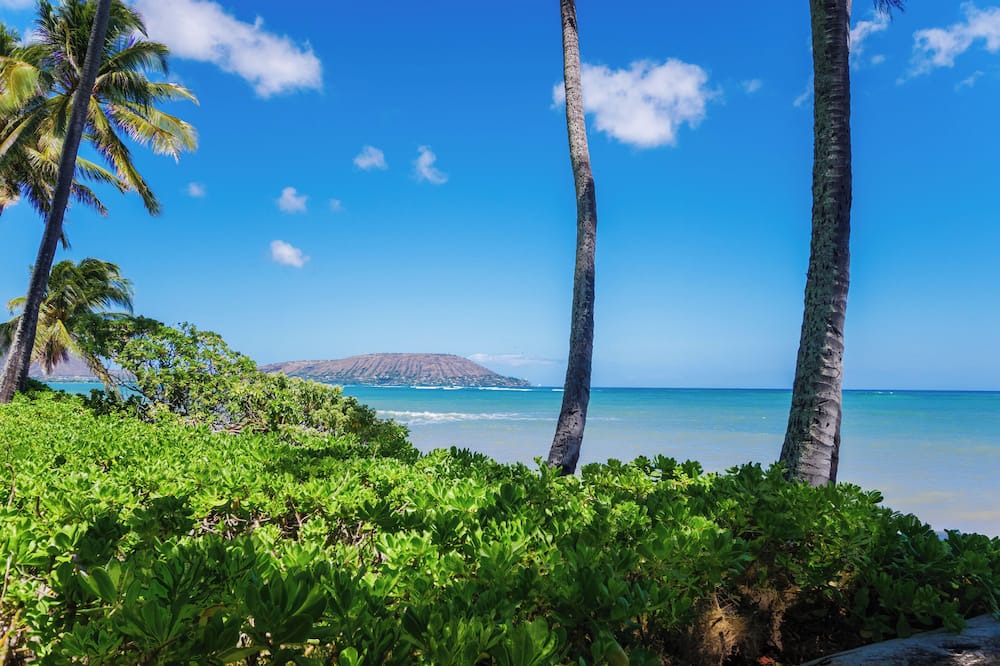 Photo of Others in 'Aina Haina