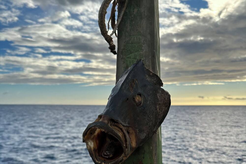 Photo of Others in Ocean View