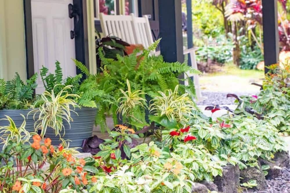Photo of Outdoor in Royal Hawaiian Estates