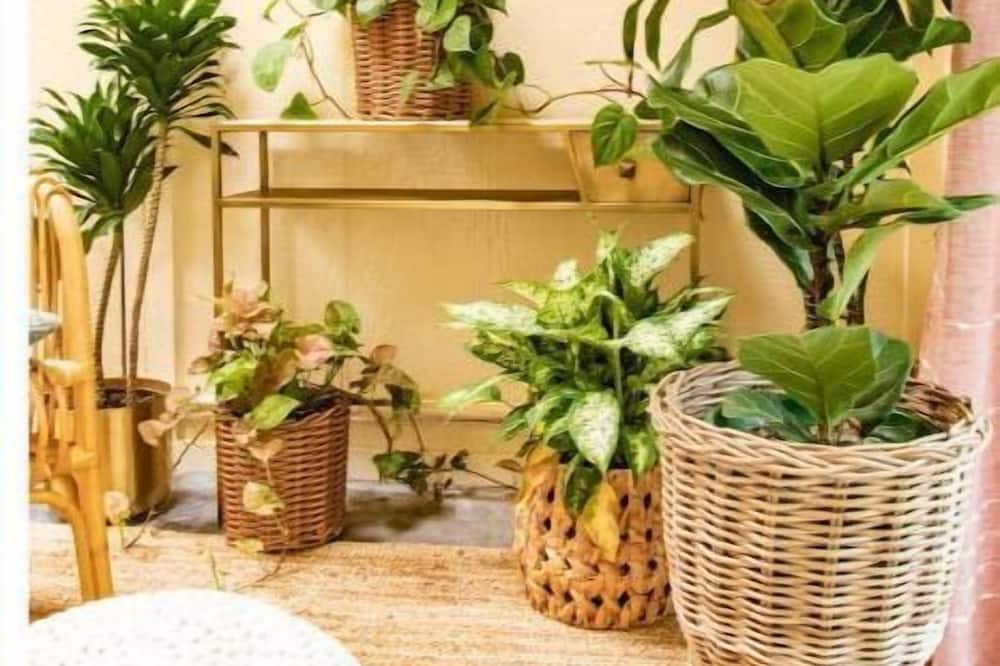 Photo of Others in Royal Hawaiian Estates