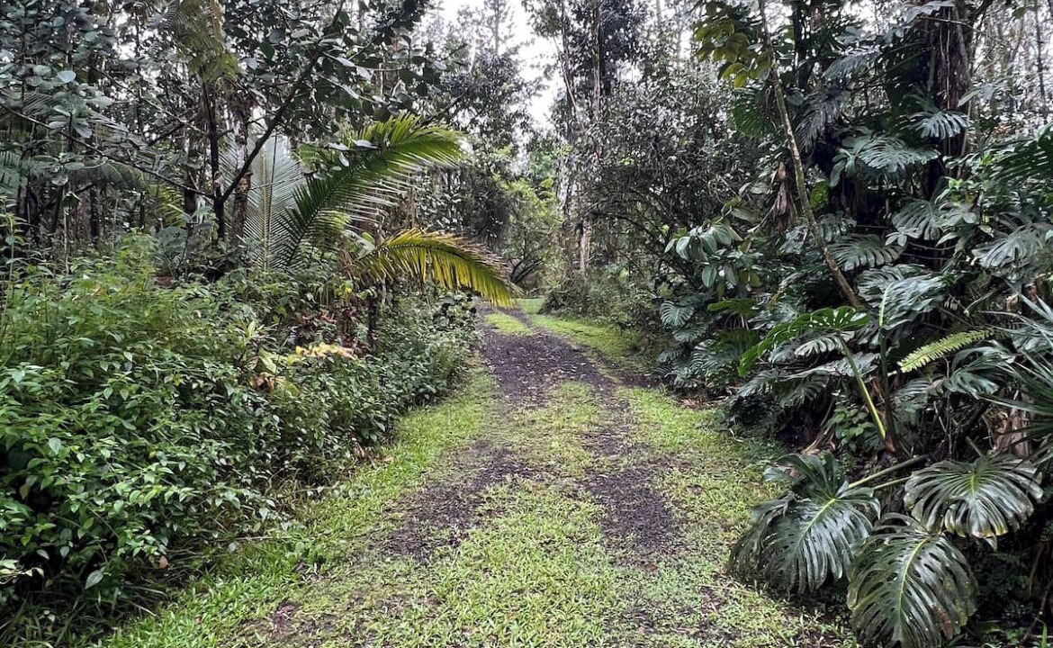 Photo of Outdoor in Kapoho