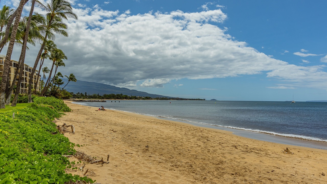 Photo of Others in Kihei
