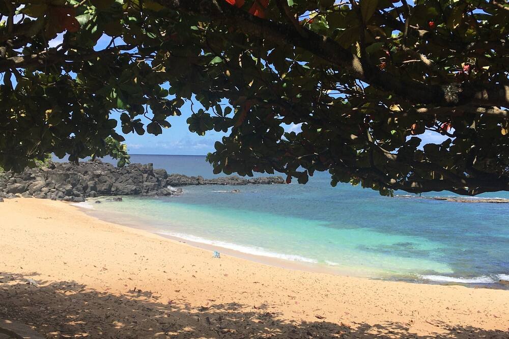 Photo of Others in Pupukea