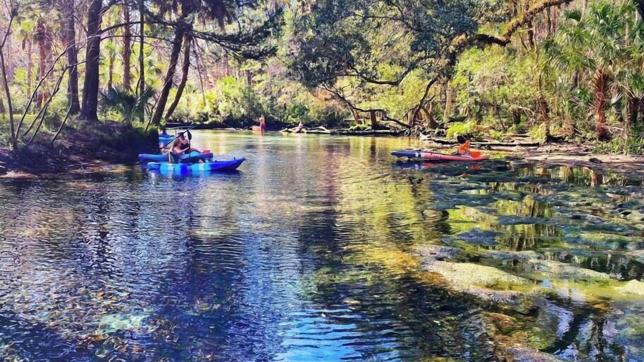 Photo of Outdoor in Chassahowitzka