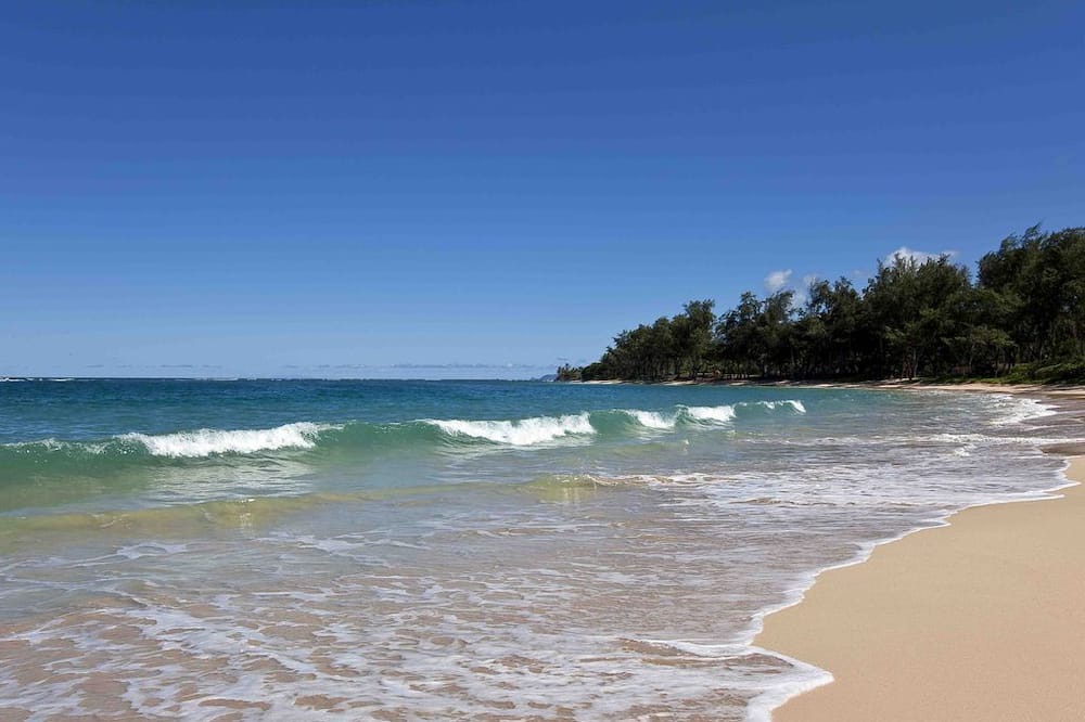 Photo of Others in Laie