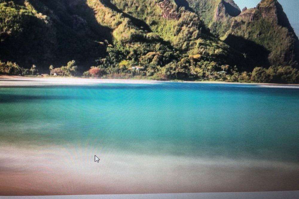 Photo of Outdoor in Bayview