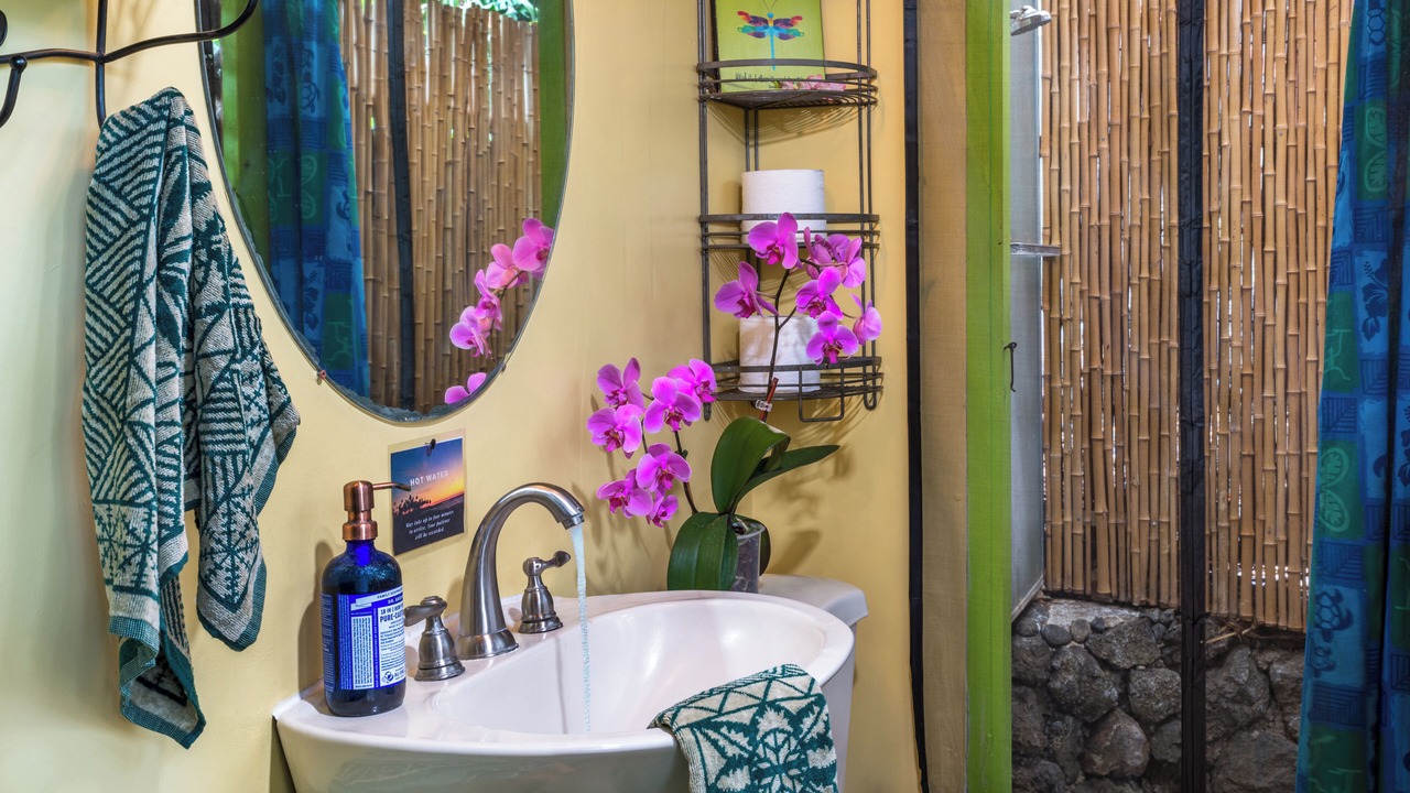 Photo of Bathroom in Honaunau-Napoopoo
