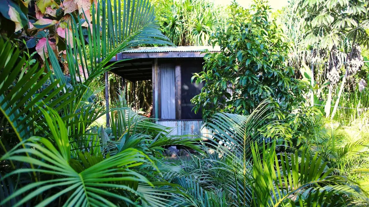 Photo of Outdoor in Waa Waa