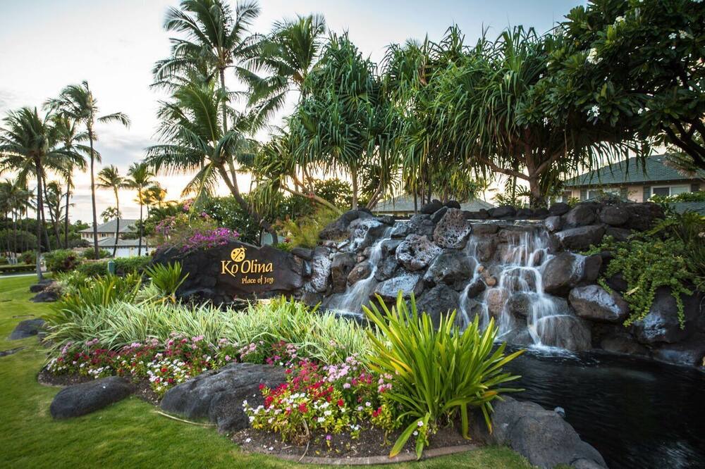 Photo of Others in Kapolei