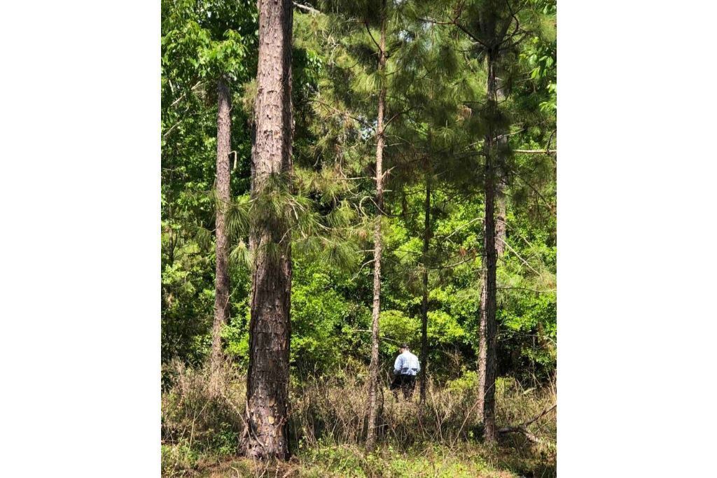Photo of Outdoor in Dade City